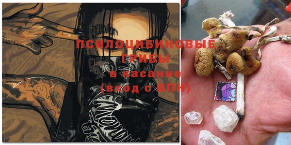 мескалин Алексеевка
